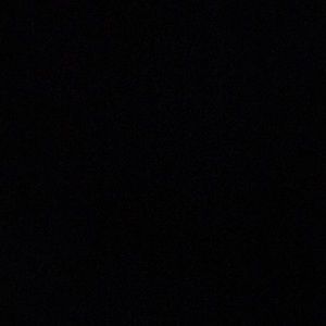 Meet your Posher, Max